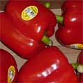 Red Peppers